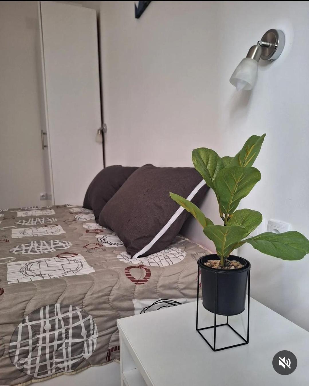 Apartmani Koki Kladovo Zewnętrze zdjęcie